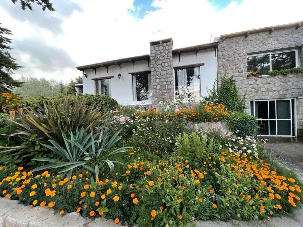 Casa Divina Temporaria En ,pleno Centro Holiday home *