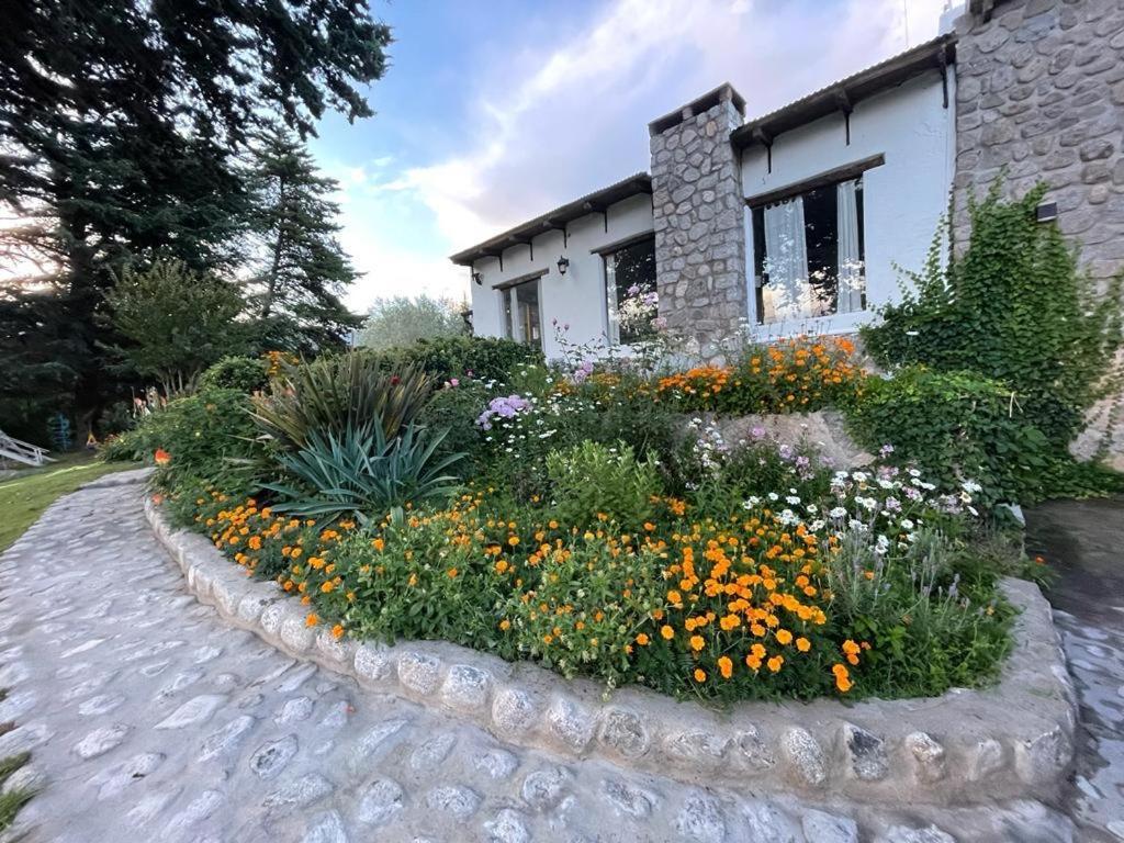 Casa Divina Temporaria En ,pleno Centro Holiday home Tafi del Valle